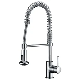 ANZZI Eclipse Single Handle Pull-Down Sprayer Kitchen Faucet