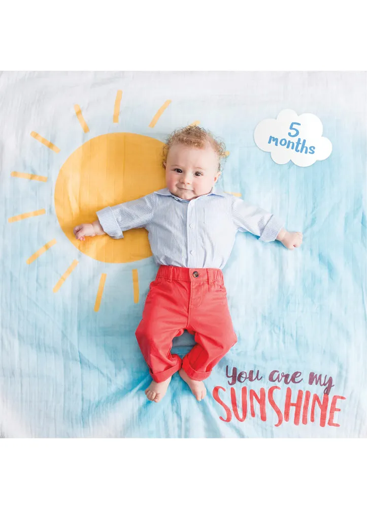 Baby's First Year You Are My Sunshine by Mary Meyer