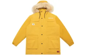 Dickies unisex jackets, ginger yellow