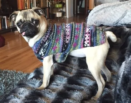 Purple WoodStock Cable Knit Sweater