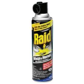 Raid Wasp & Hornet Killer(14 oz.)